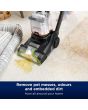 Bissell 3878E Powerwash Pet