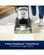 Bissell 3878E Powerwash Pet