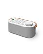 Sony SRSLSR200CE7 Wireless Bluetooth Speaker