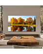TCL 98C8L-UK 98-inch 4K Ultra HD QD-Mini LED TV