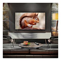 LG OLED55B56LA.AEK OLED AI B5 55" 4K OLED Smart TV