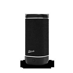 Roberts Radio REUNIONBK Speaker - Black
