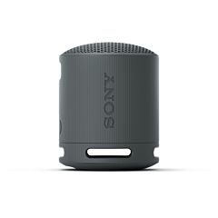 Sony SRSXB100B_CE7 Compact Bluetooth Wireless Speaker - Black