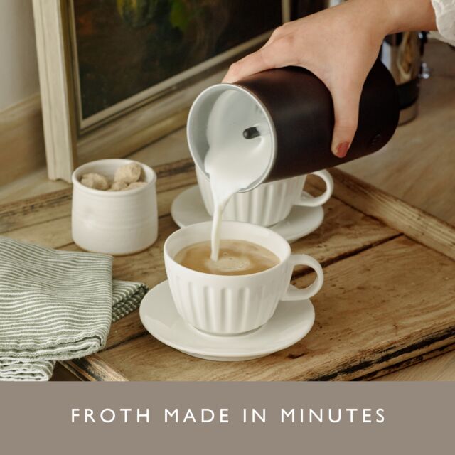 Dualit 84140 Handheld Milk Frother