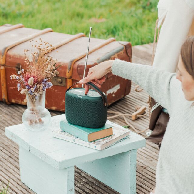 PURE WOODLAND Portable Outdoor DAB+ / BT Speaker