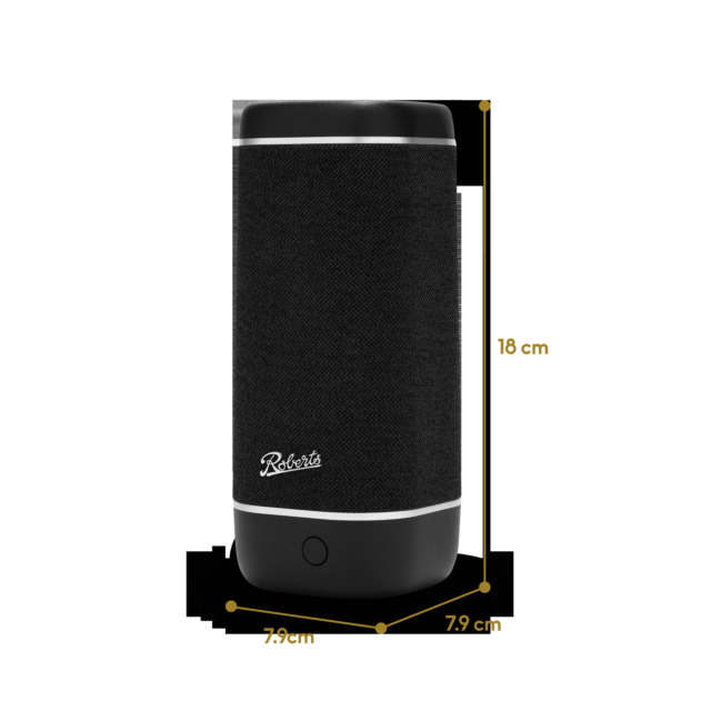 Roberts Radio REUNIONBK Speaker - Black